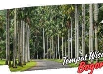 8 Tempat Wisata di Bogor yang Sejuk dan Cocok untuk Liburan Keluarga 8 Tempat Wisata di Bogor yang Sejuk dan Cocok untuk Liburan Keluarga