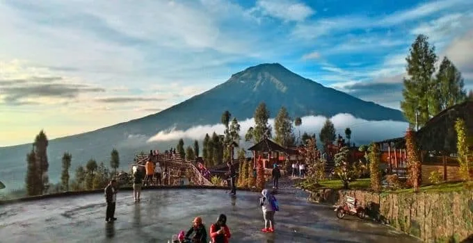 Taman Wisata Alam Posong: Surga Tersembunyi dengan Pemandangan Gunung Sindoro yang Memesona Taman Wisata Alam Posong: Surga Tersembunyi dengan Pemandangan Gunung Sindoro yang Memesona